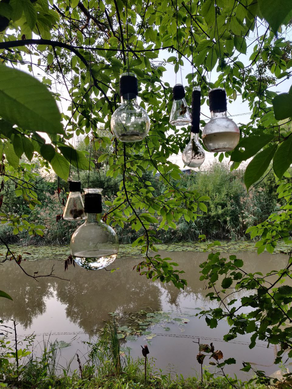 Красненькая антибиеннале 2022 (СПБ)