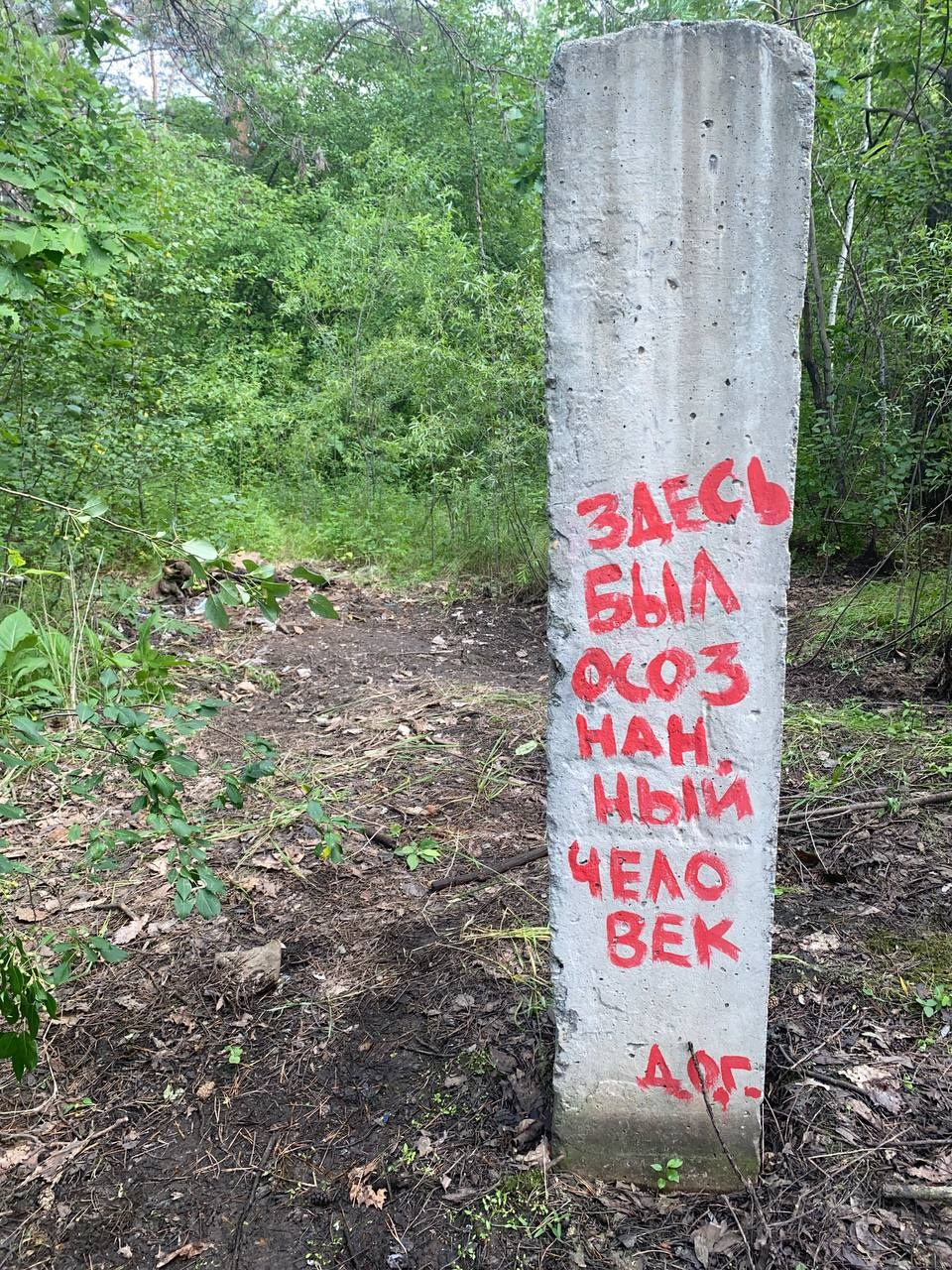 Осознанный землянин. Художник Рыбак Николай