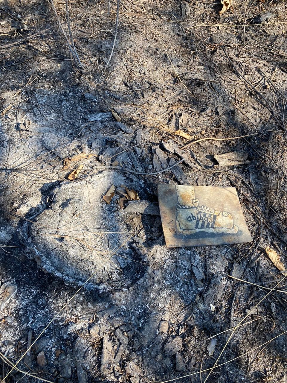 Локация № 1. Художник Рыбак Николай