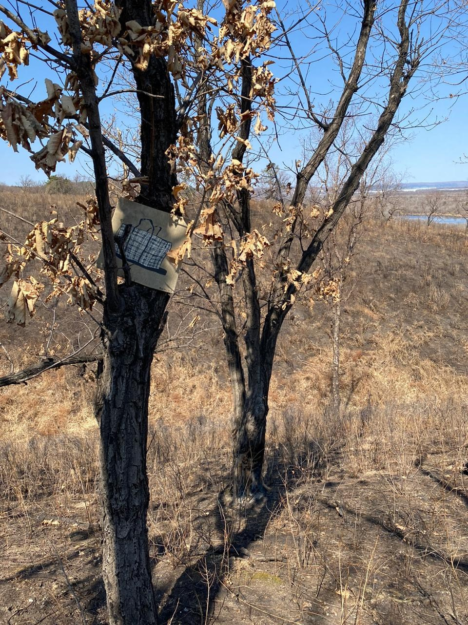 Локация № 1. Художник Рыбак Николай