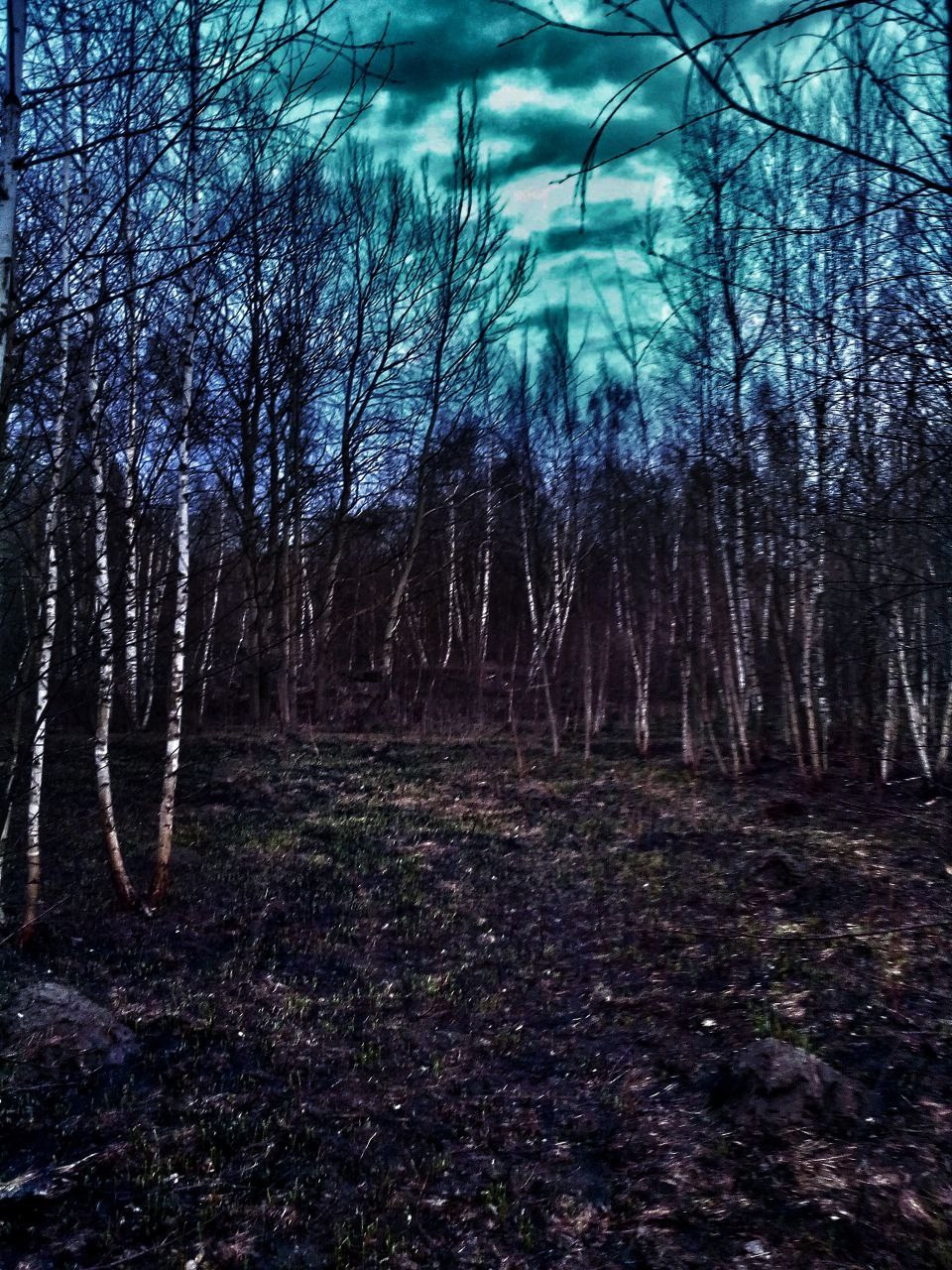 Пример фотографии  фотографа из 2020 года