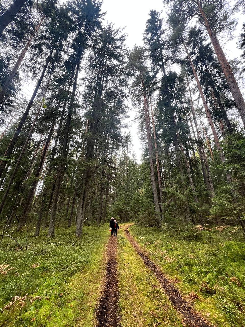 Место силы. Онлайн фотошкола просто о фото, фотограф, психолог фототерапия москва сочи анна ивкина