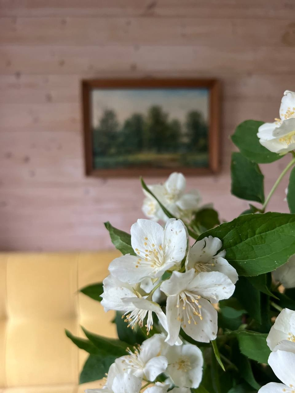 Место силы. Онлайн фотошкола просто о фото, фотограф, психолог фототерапия москва сочи анна ивкина