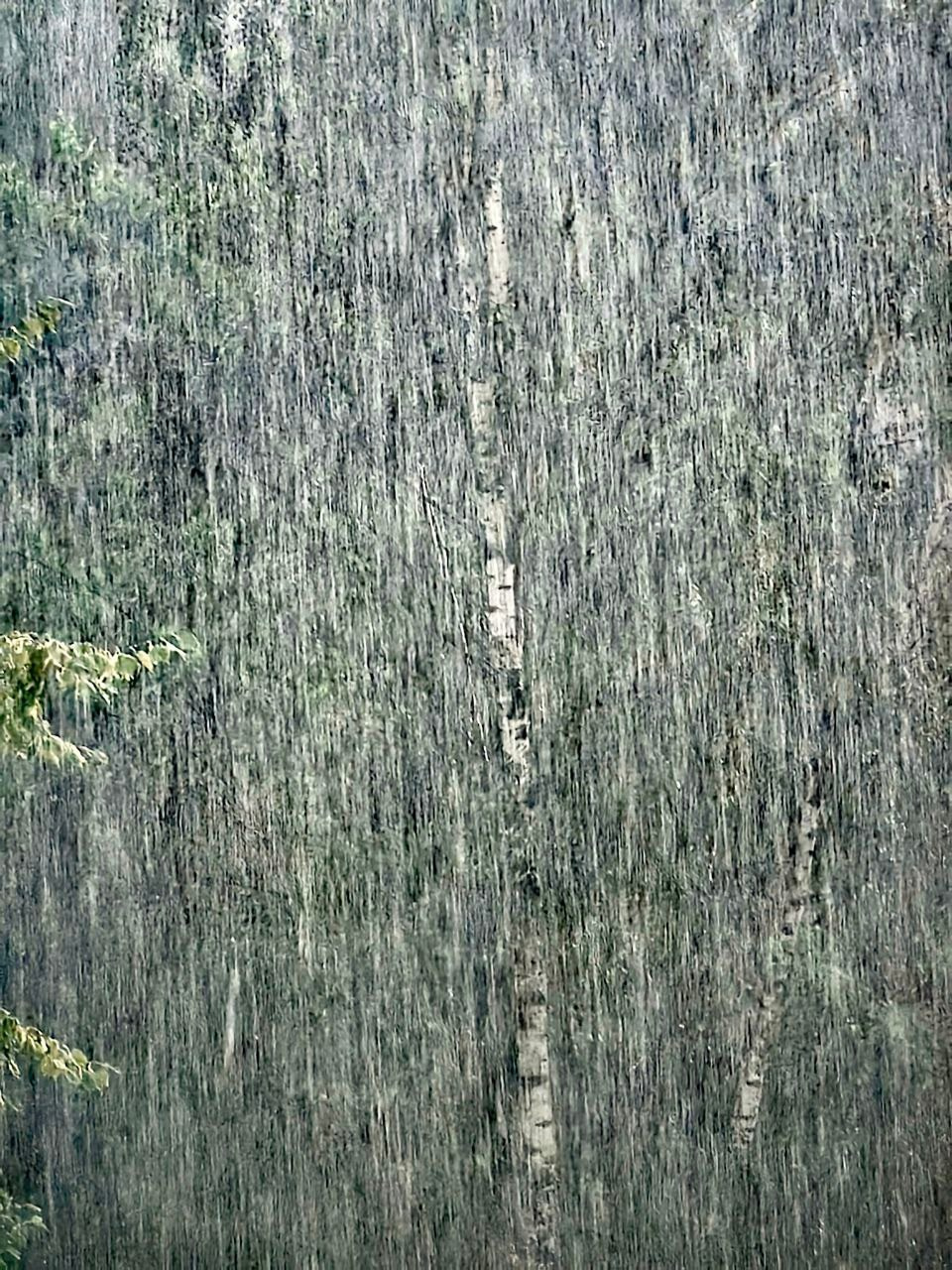 Трофименко Екатерина. ARTEXPOPHOTO