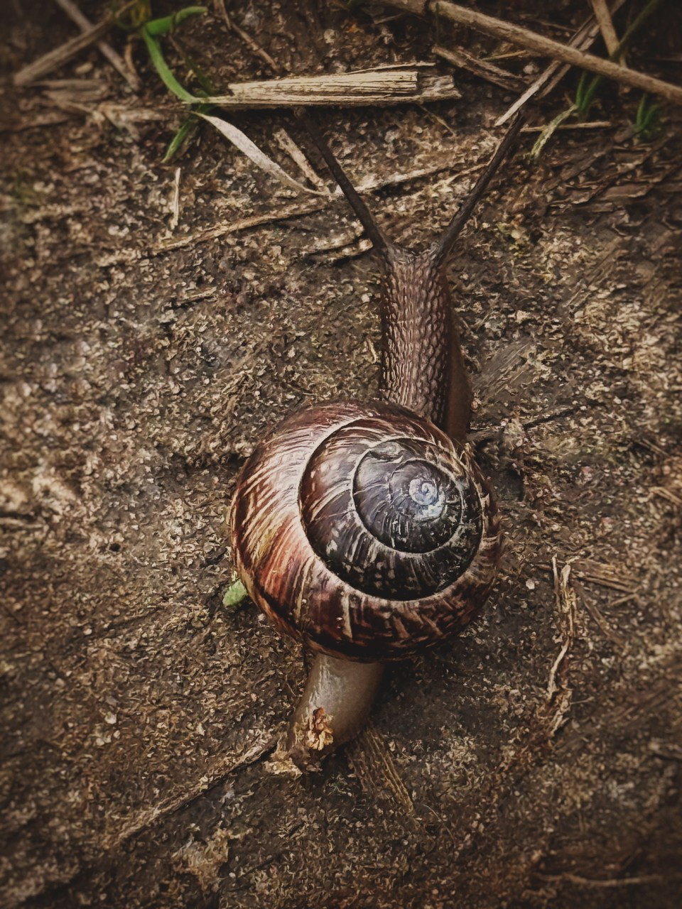 Савчук Елена. ARTEXPOPHOTO