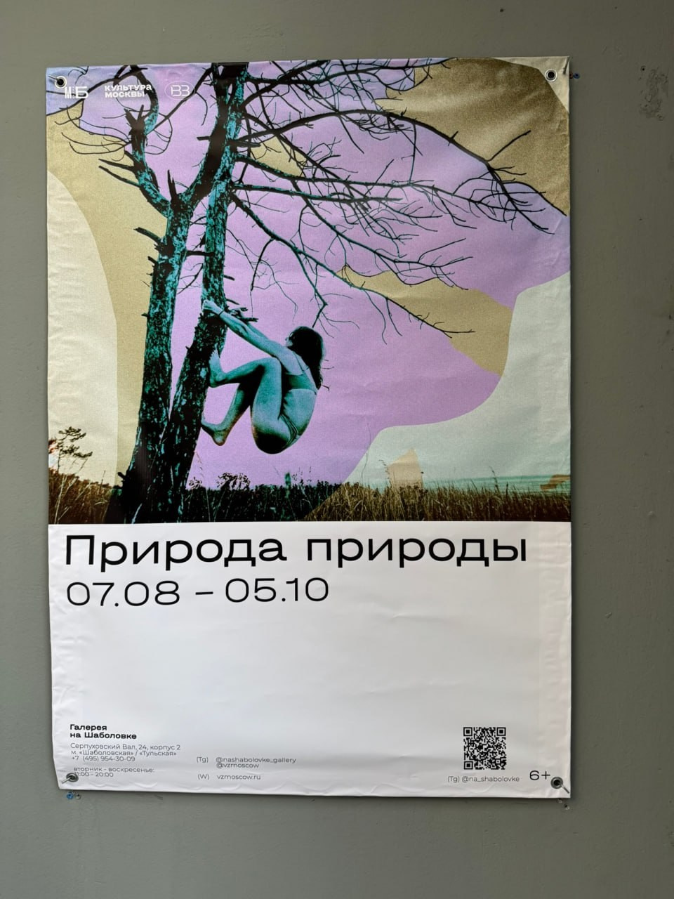 Тропа волн. Julia Altukhova, multimedia artist