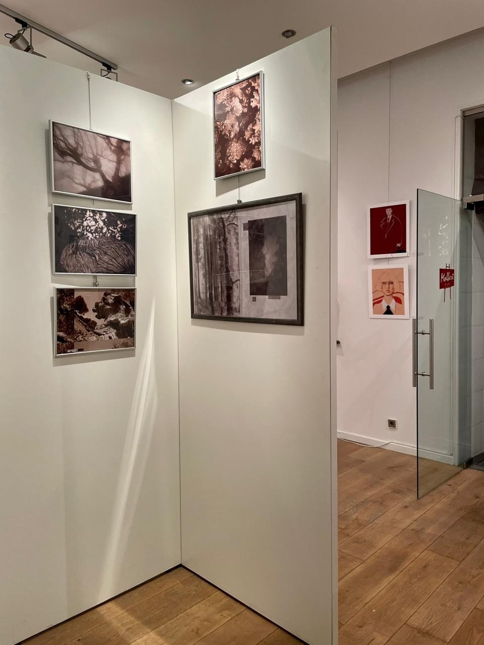 Галереи, выставки, арт-проекты. Visual artist, photographer Liana Darenskaya, Moscow