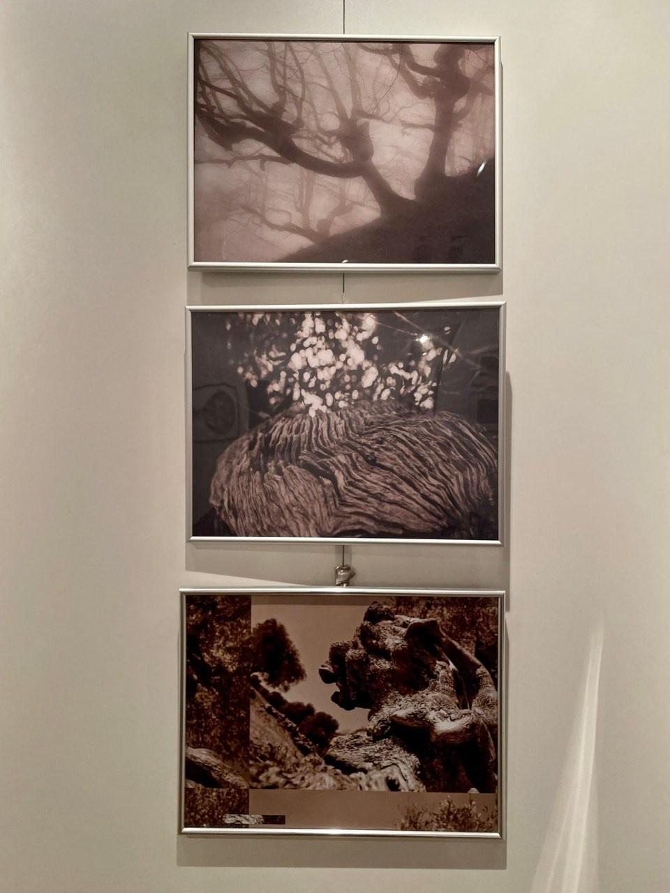 Галереи, выставки, арт-проекты. Visual artist, photographer Liana Darenskaya, Moscow