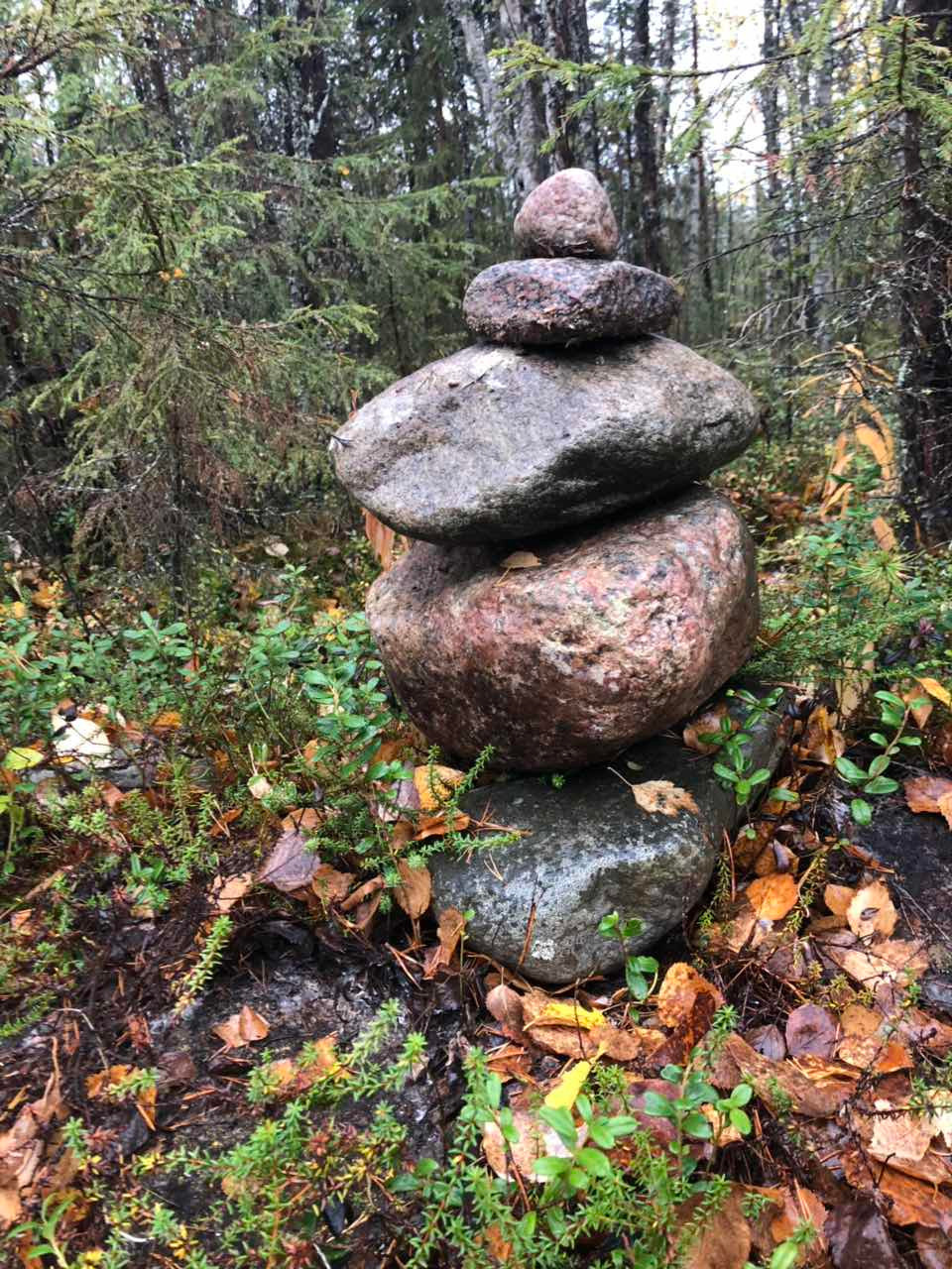 2018 — Незабываемая Карелия, Зашеек. OneSnap