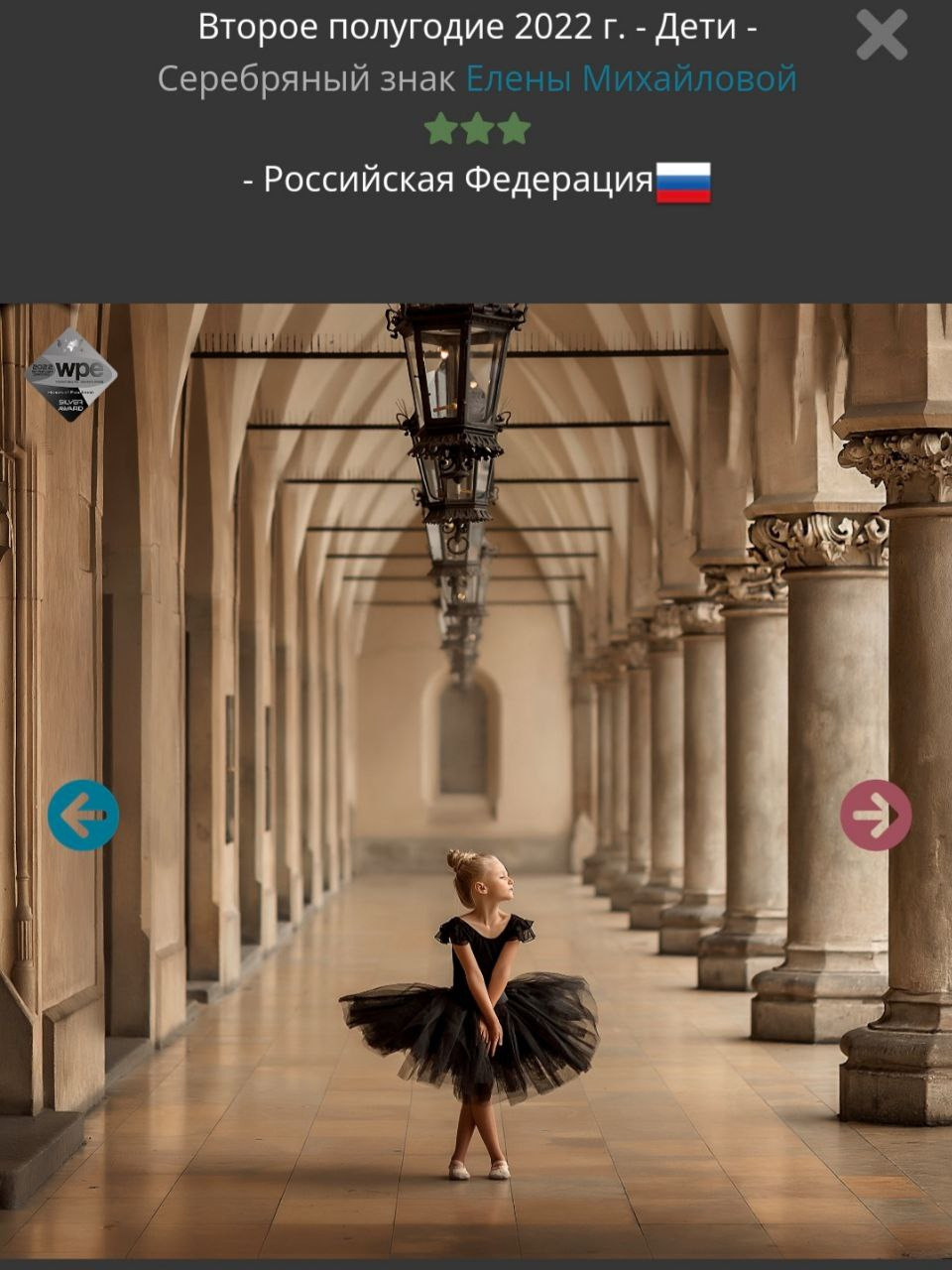 МОИ ДОСТИЖЕНИЯ. Детский и семейный фотограф Елена Михайлова в Москве