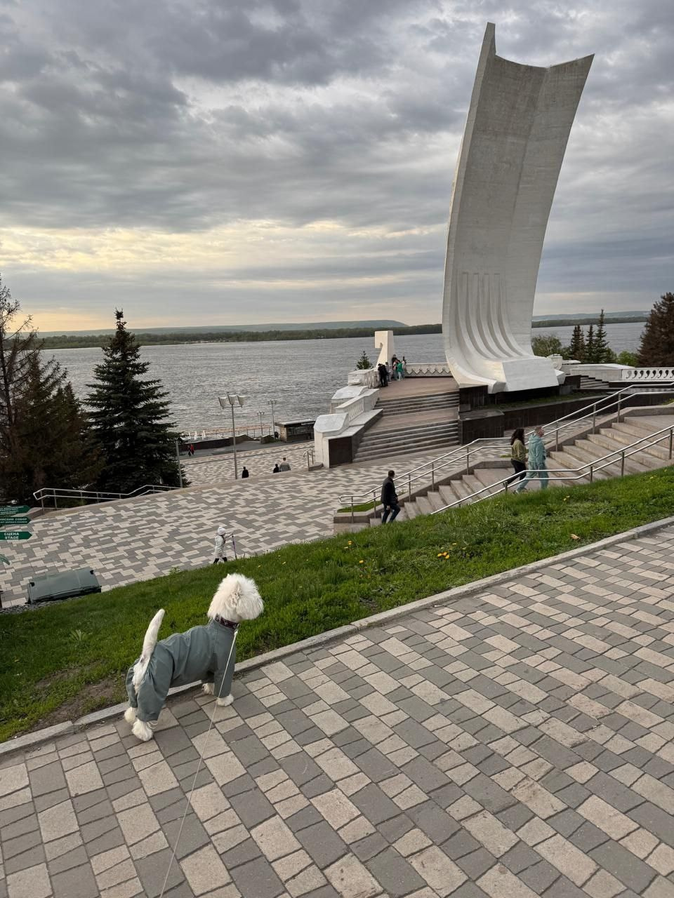 Самара — Рейтинговые выставки с особым статусом. Питомник собак породы вест хайленд вайт терьер в Москве