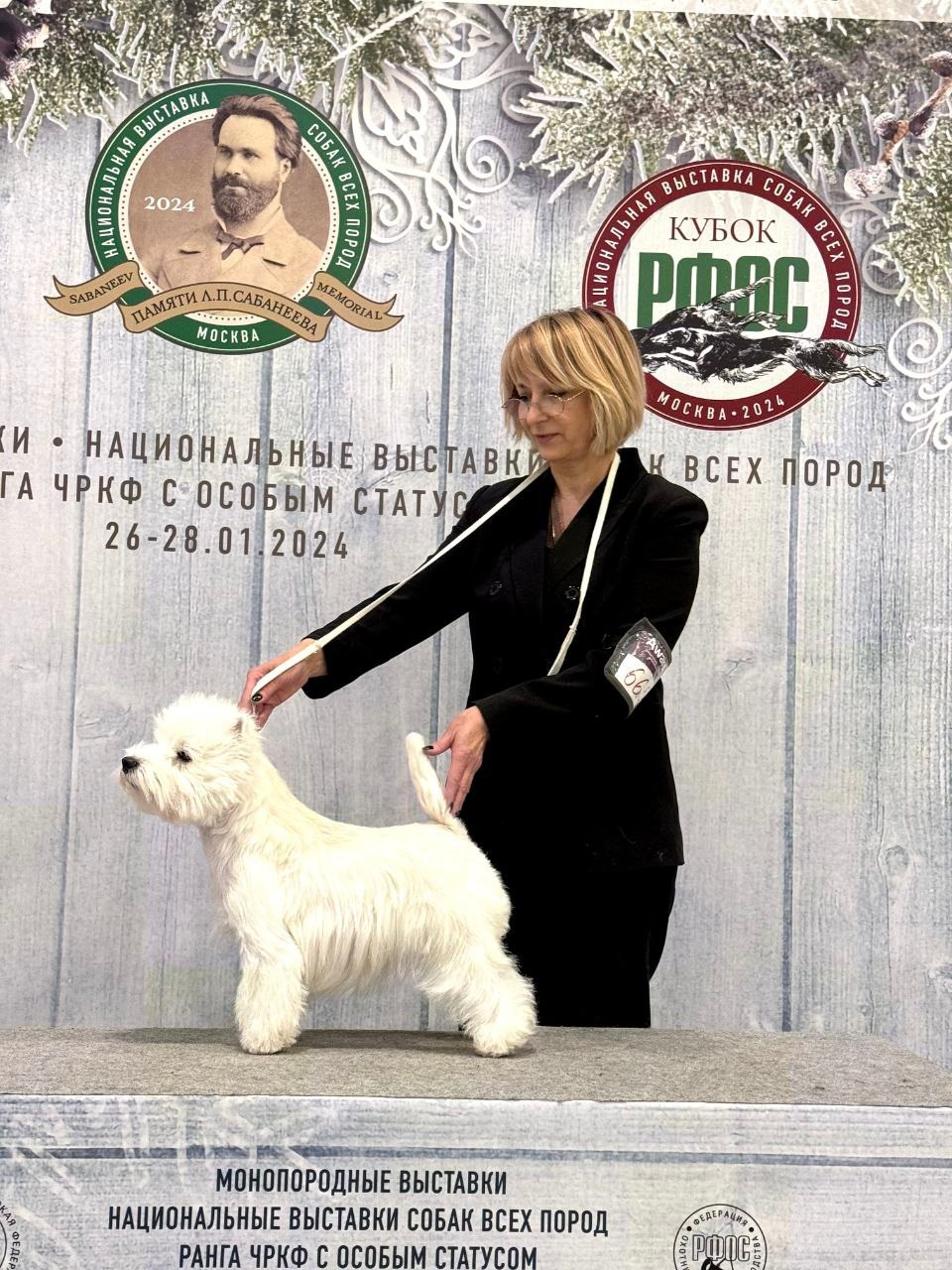 Рейтинговая выставка с особым статусом памяти Л. П. Сабанеева. Питомник собак породы вест хайленд вайт терьер в Москве