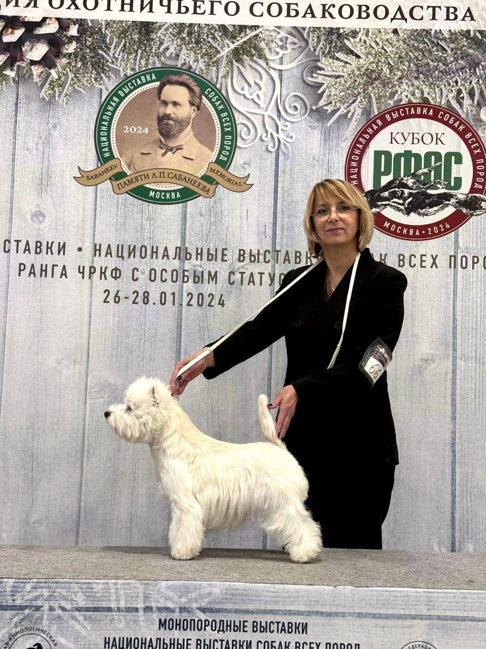 Рейтинговая выставка с особым статусом памяти Л. П. Сабанеева. Питомник собак породы вест хайленд вайт терьер в Москве