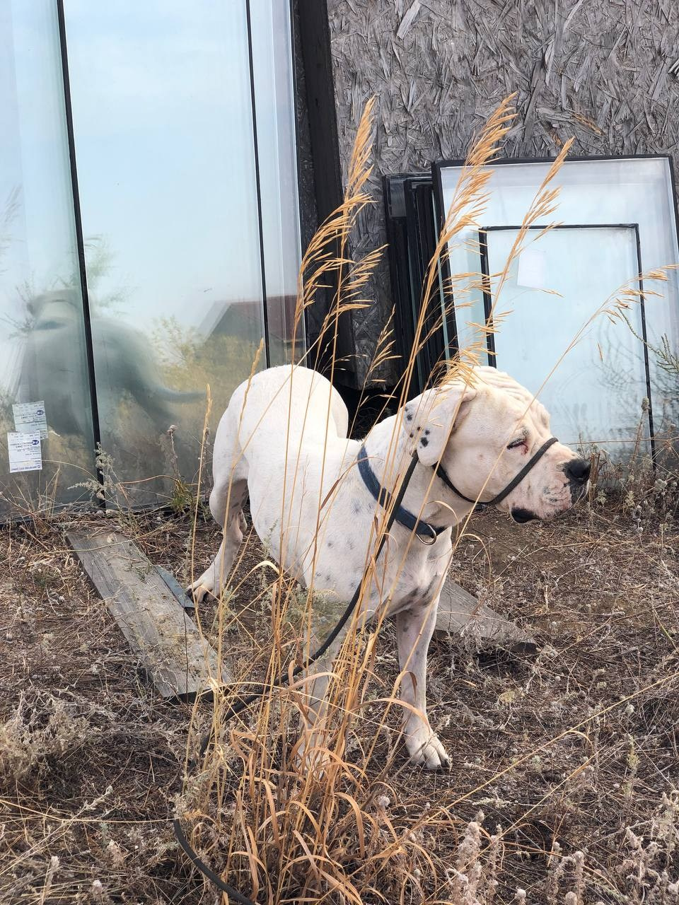Творческая фотосессия. Фотограф Диана Одинцова в Волгограде
