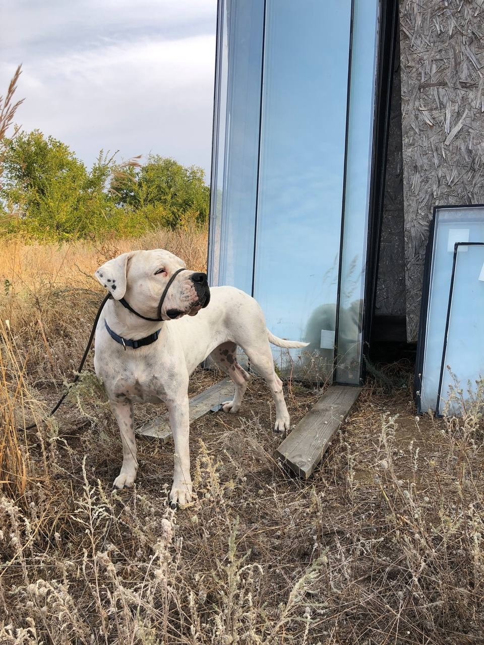 Творческая фотосессия. Фотограф Диана Одинцова в Волгограде