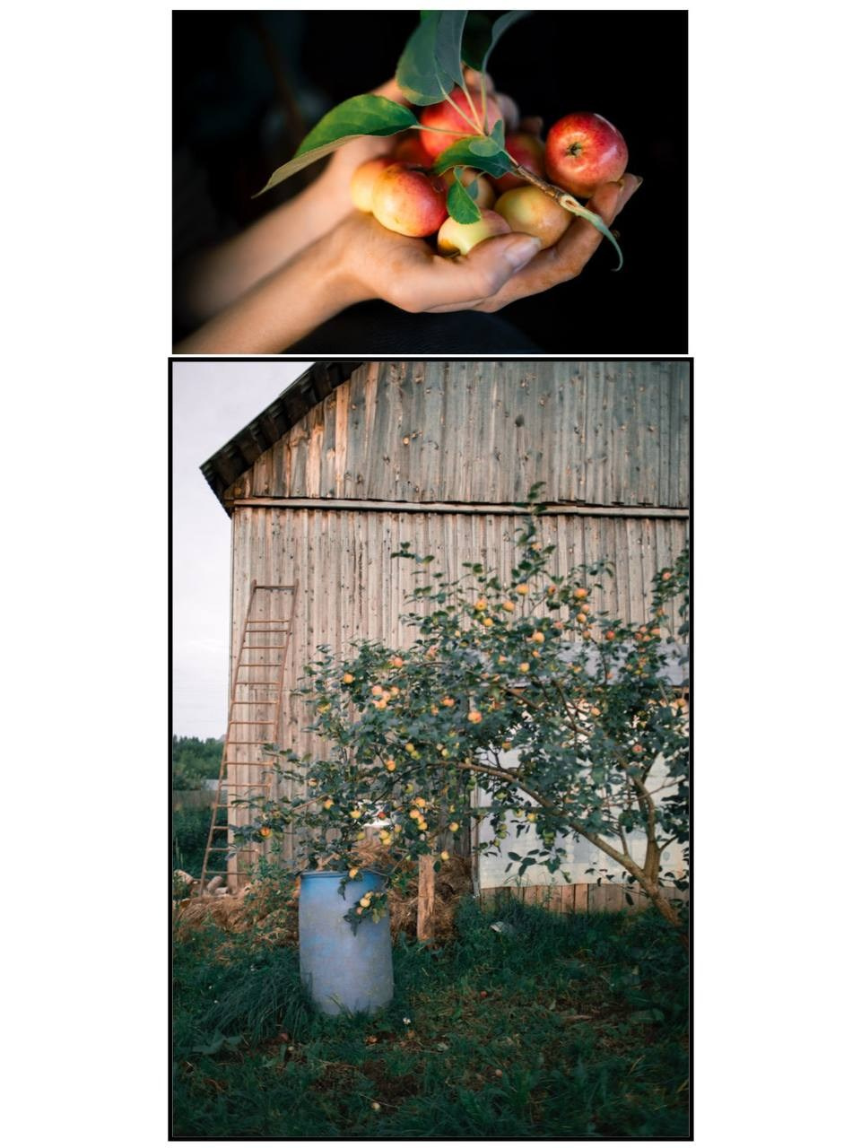 Фотопрактика. Фотограф Блинова Арина | Санк-Петербург