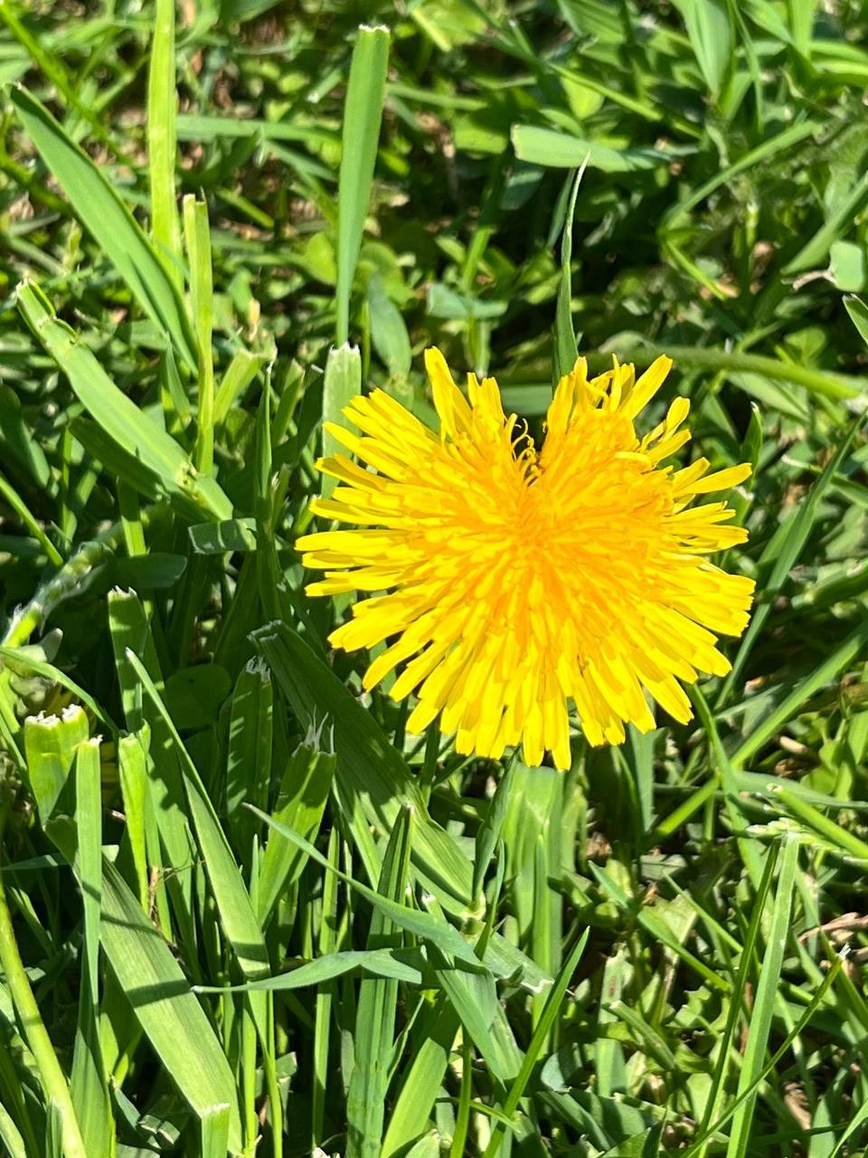 Форум в ярославле. Фотограф Евгения Соул Москва