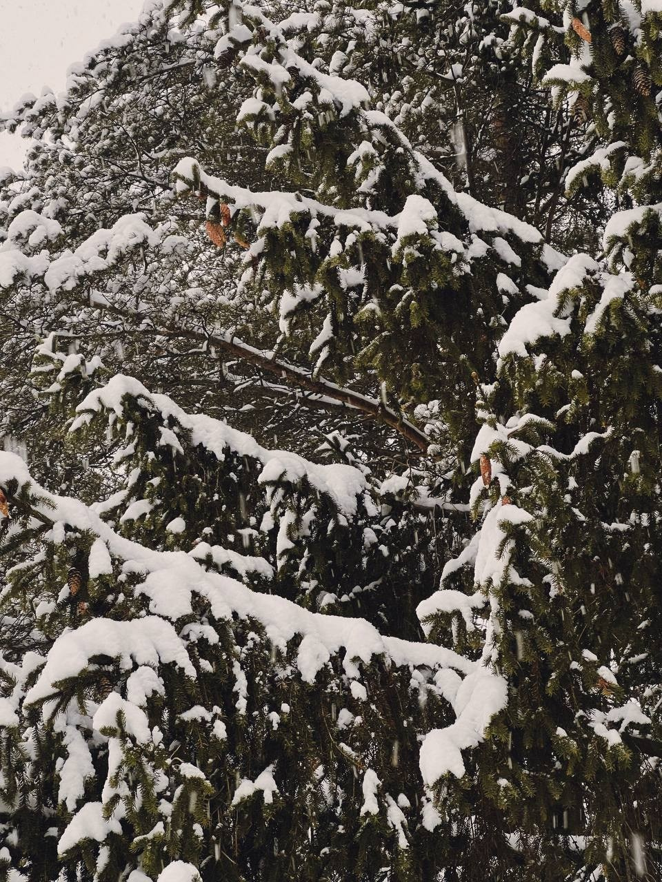 Family trip | семейная поездка. Фотограф Евгения Соул Москва