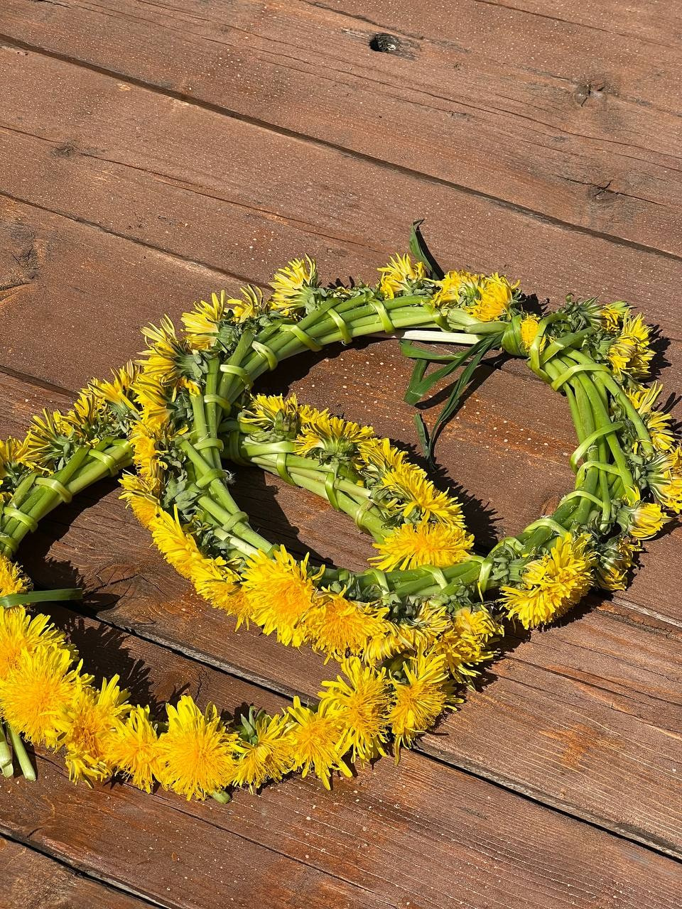 Форум в ярославле. Фотограф Евгения Соул Москва