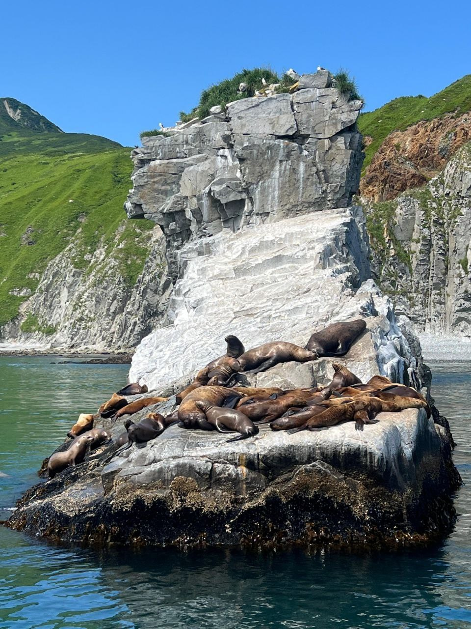 Экскурсии по Камчатке. Экскурсионные туры по Камчатке