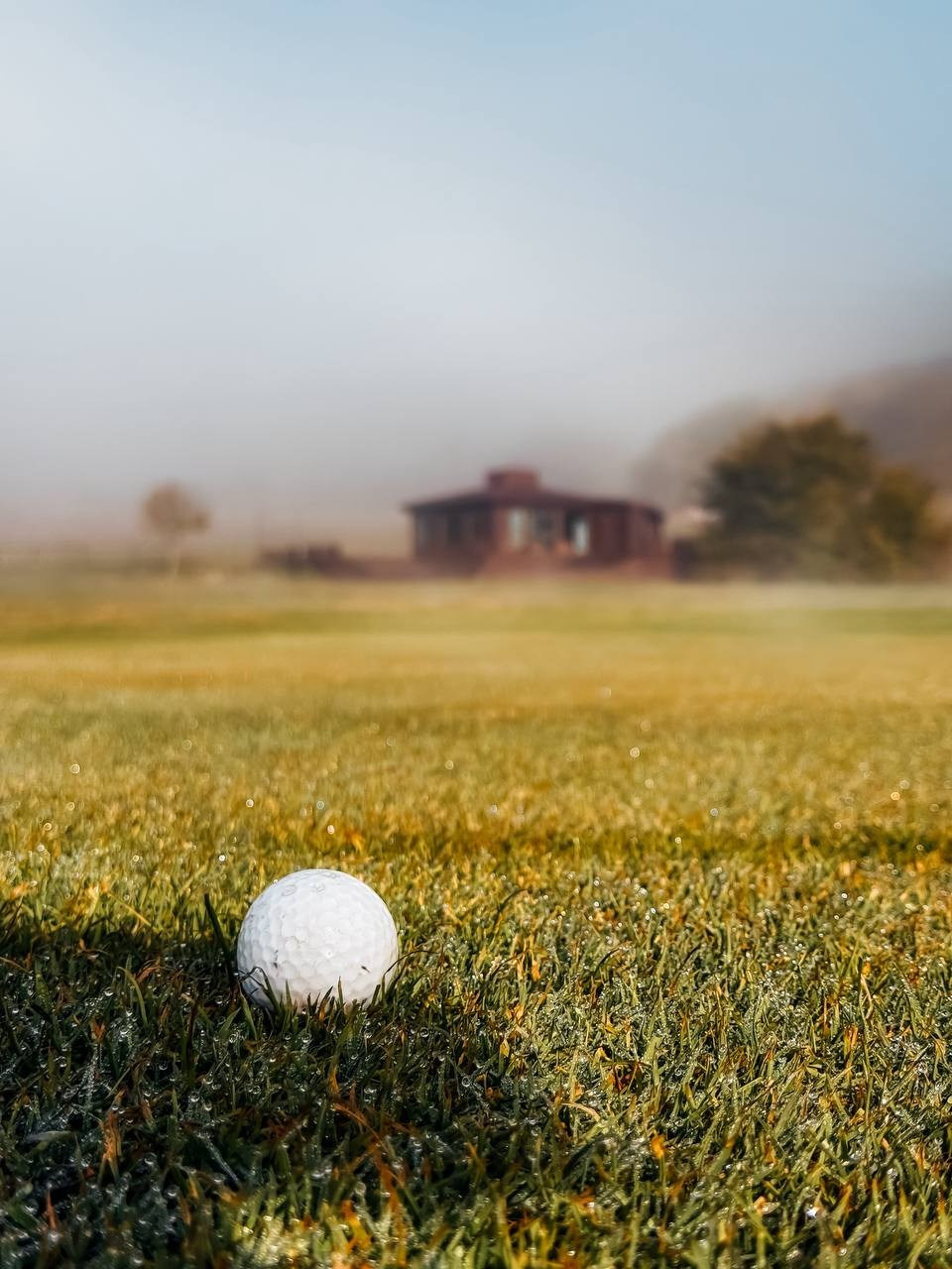 Работы учеников. ФОТОШКОЛА VISION — курс по мобильной фотографии в Москве, курс по фотографии Владимира Васильева