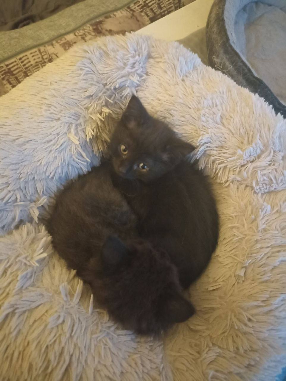 СТРАНИЦА ДОБРА. Фотограф в Санкт-Петербурге Кристина Брянская