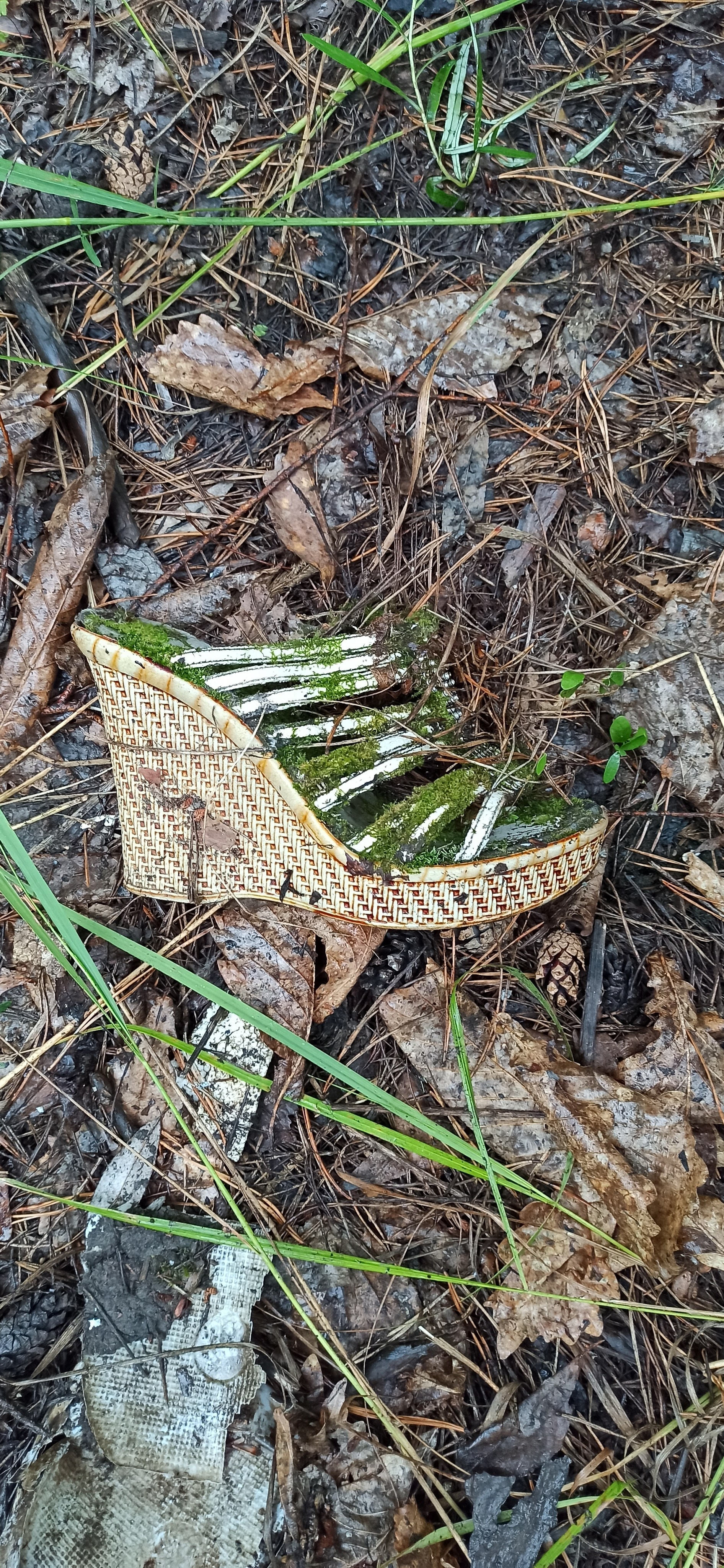 Осознанный землянин. Художник Рыбак Николай