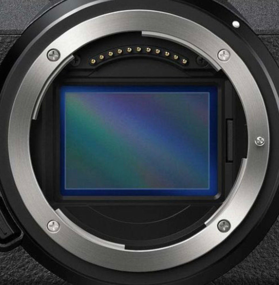 Какую камеру выбрать? Рекомендации тем, кто решил стать фотографом. Флористическая, интерьерная и портретная съемка в Москве и Европе