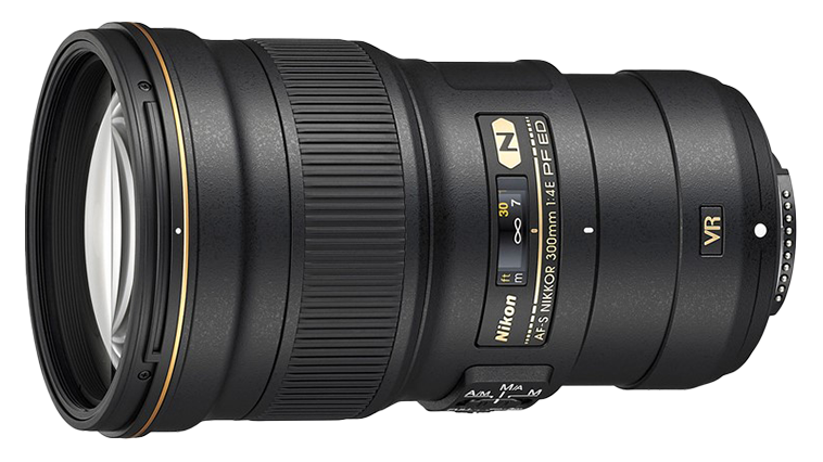Камера Nikon D850 с объективом AF-S Nikkor 300 mm f/4E PF ED VR. Примеры RAW файлов