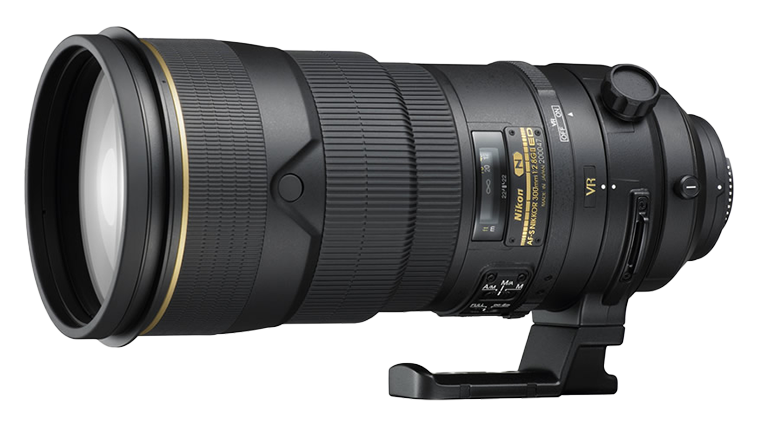 Nikon Lens AF-S Nikkor 300 mm f/2.8G IF-ED VR II. Examples of RAW files