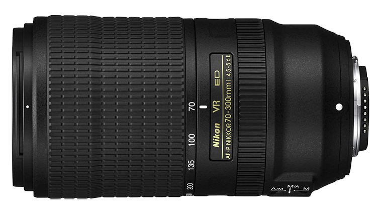 Камера Nikon D780 с объективом AF-P Nikkor 70-300mm f/4.5-5.6E ED VR. Примеры RAW файлов