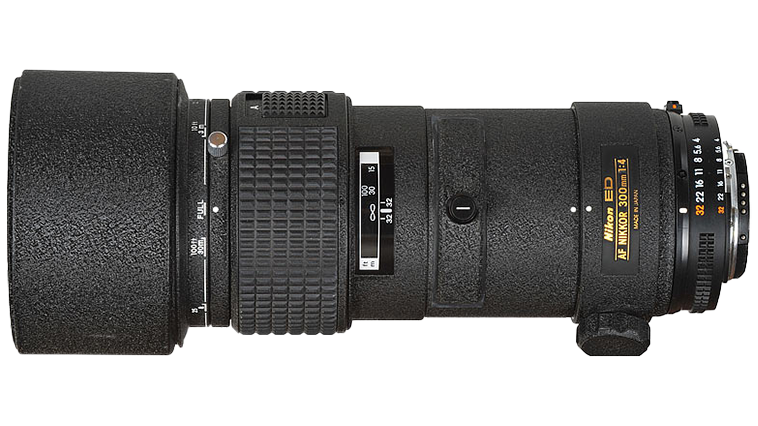 Nikon Lens AF Nikkor 300mm f/4 IF-ED. Examples of RAW files