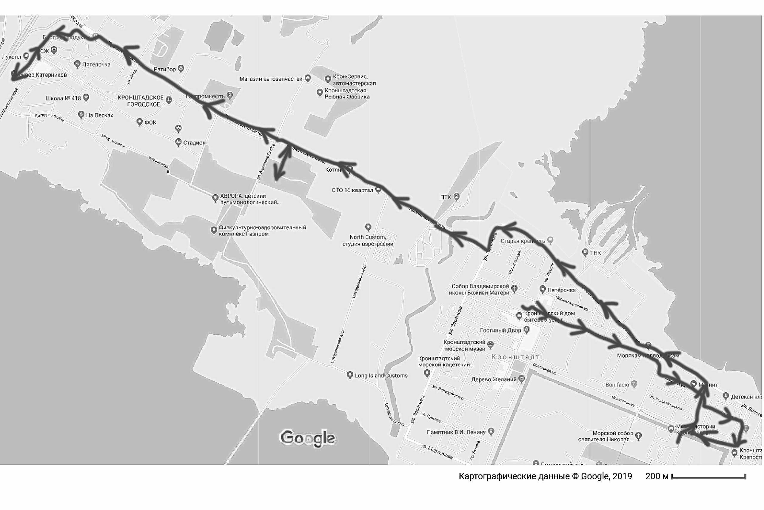 Черная полоса. Екатерина Васильева художник, куратор и преподаватель