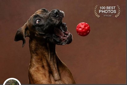 Фотограф-анималист Юлия Зубкова