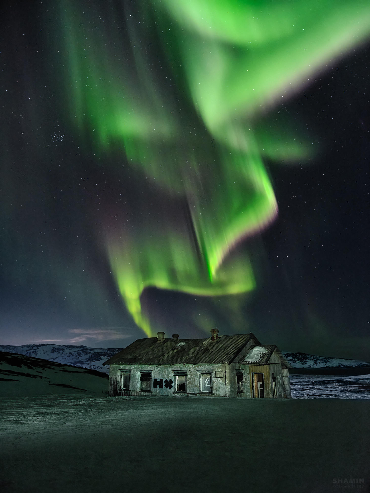 В погоне за китами. Фотограф Константин Шамин