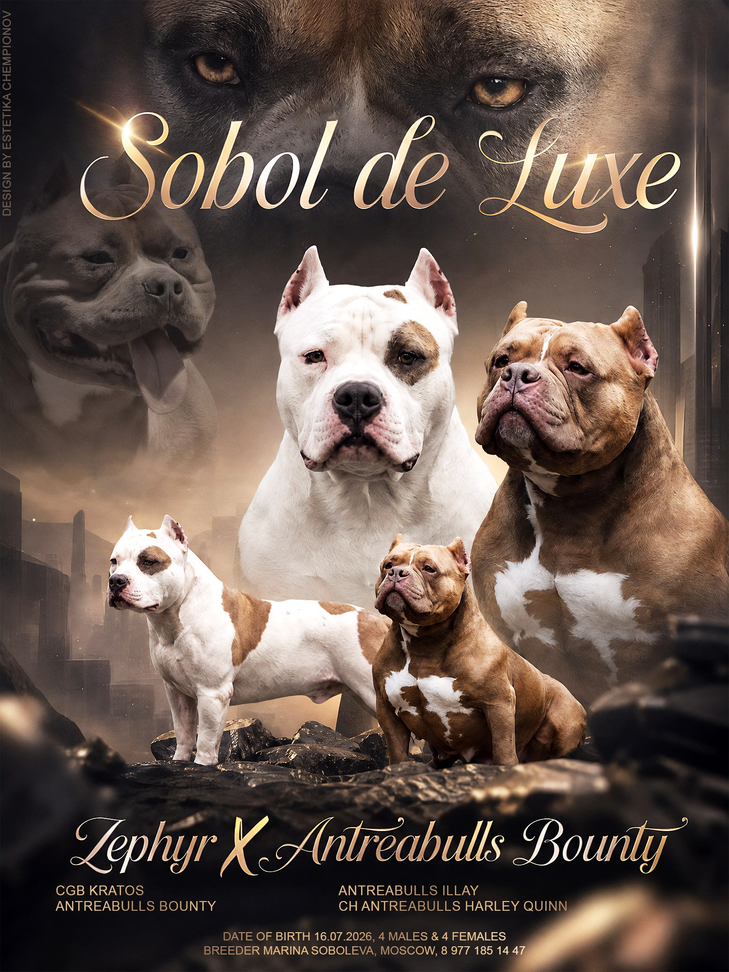 Щенки американский булли SobolDeLuxe