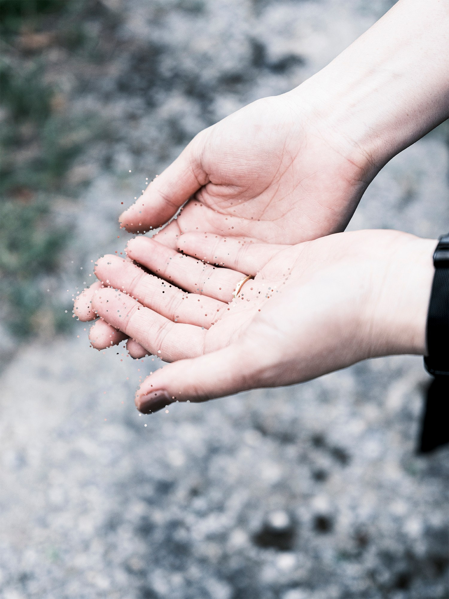 ИНТЕРВЬЮ С АВТОРАМИ: MOE SUZUKI. Самоорганизация Низина