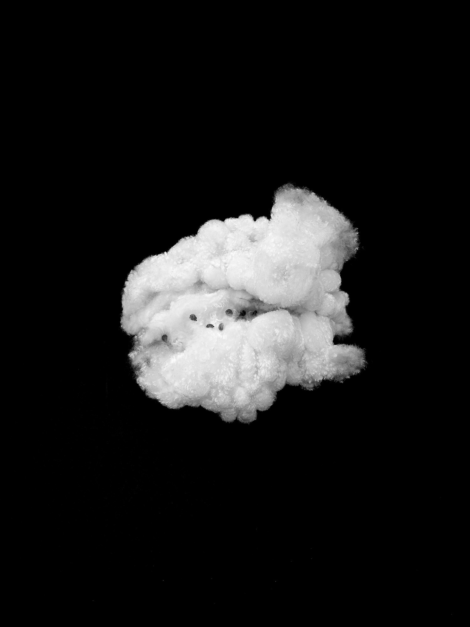 ИНТЕРВЬЮ С АВТОРАМИ: MOE SUZUKI. Самоорганизация Низина