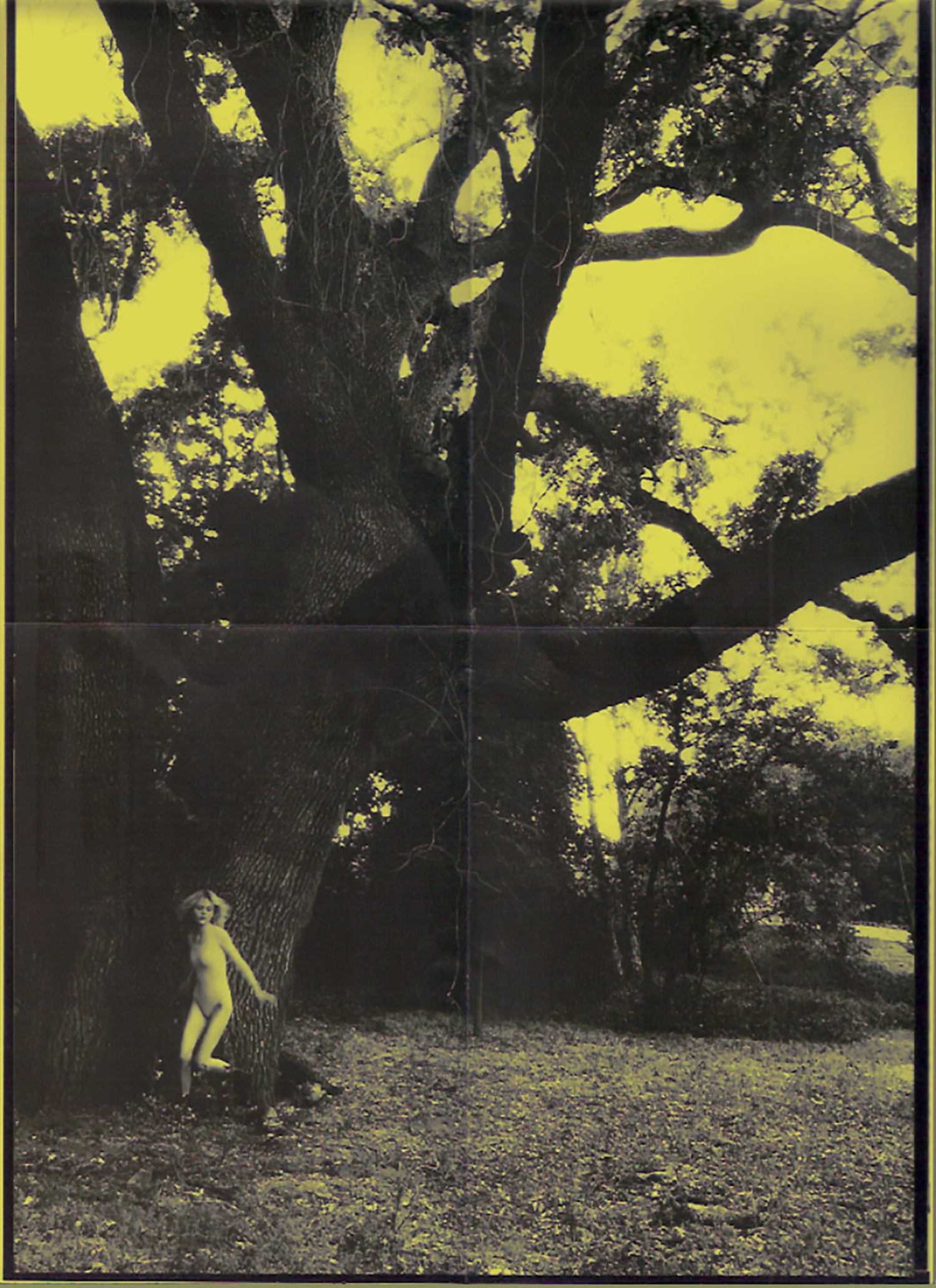 Nik Paustovskiy photography