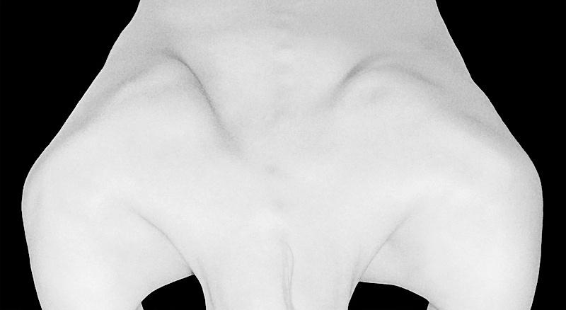 Buy Body landscape photography. Anna Laza Art photographer