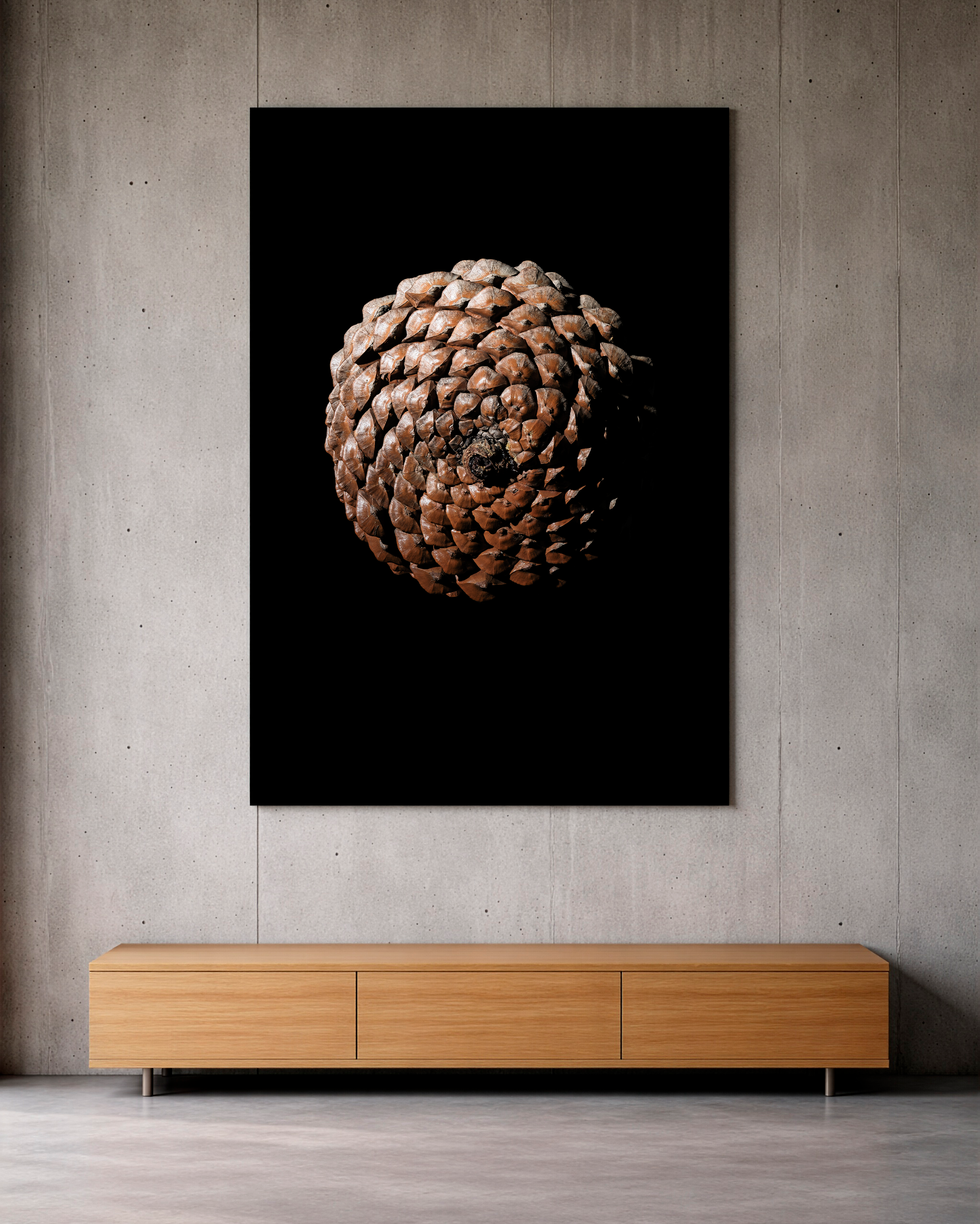 EDITIONS — авторский проект концептуальной фотографии Дмитрия Лукьянова для интерьерного пространства