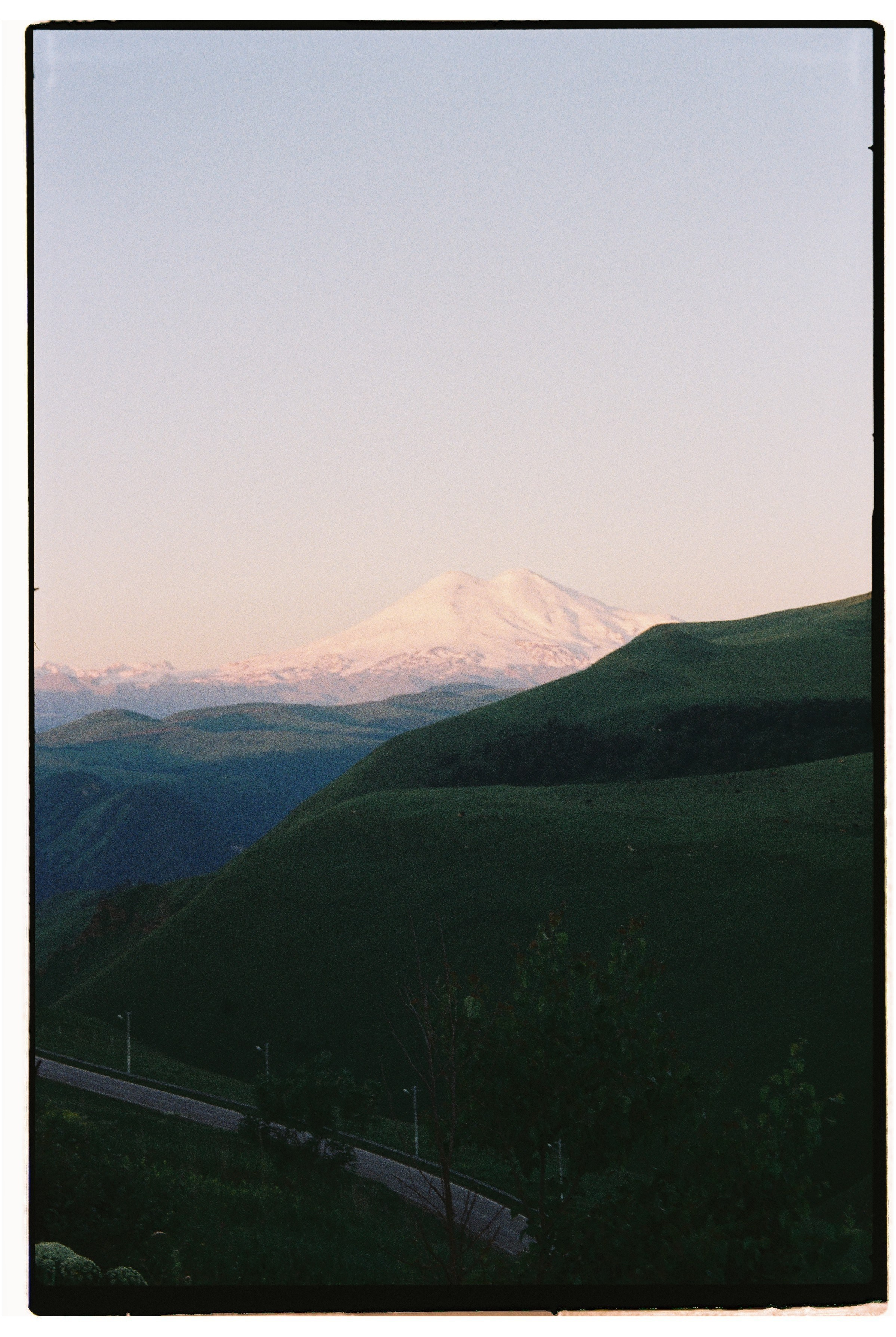 Алёна Куртова