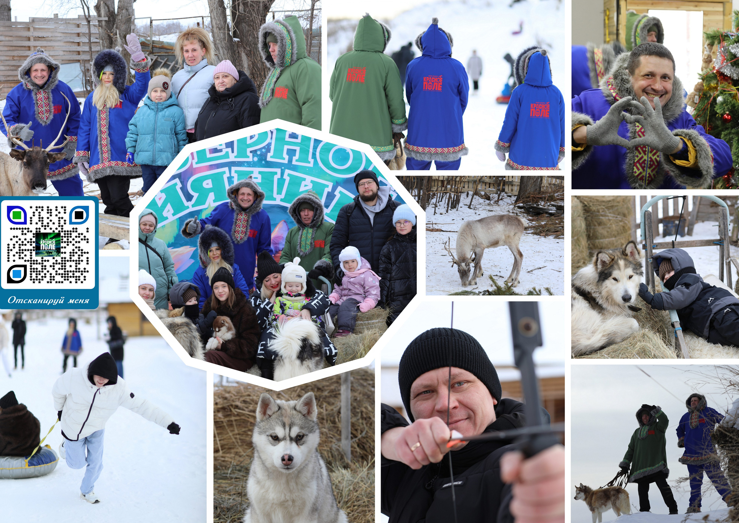 Наши партнеры. Иволга74