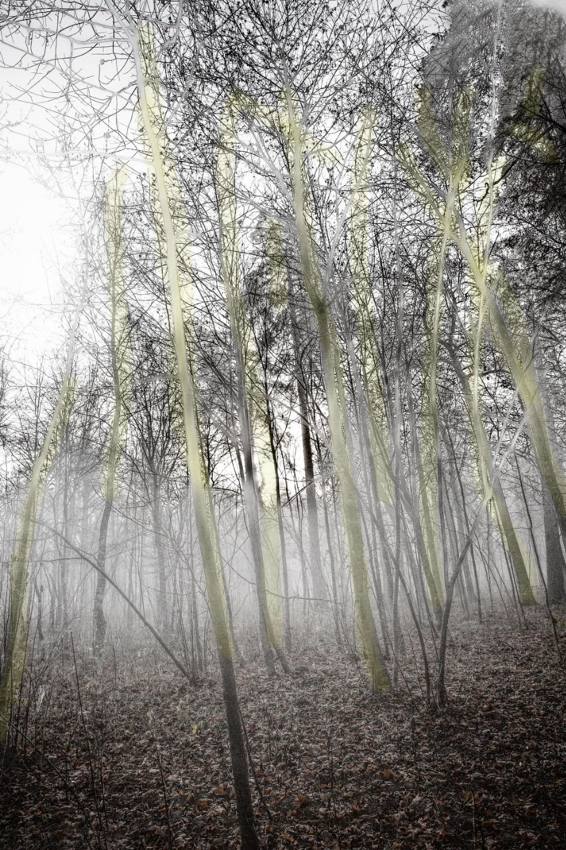 Ностальгия. Визуальный художник Лиана Даренская, Москва