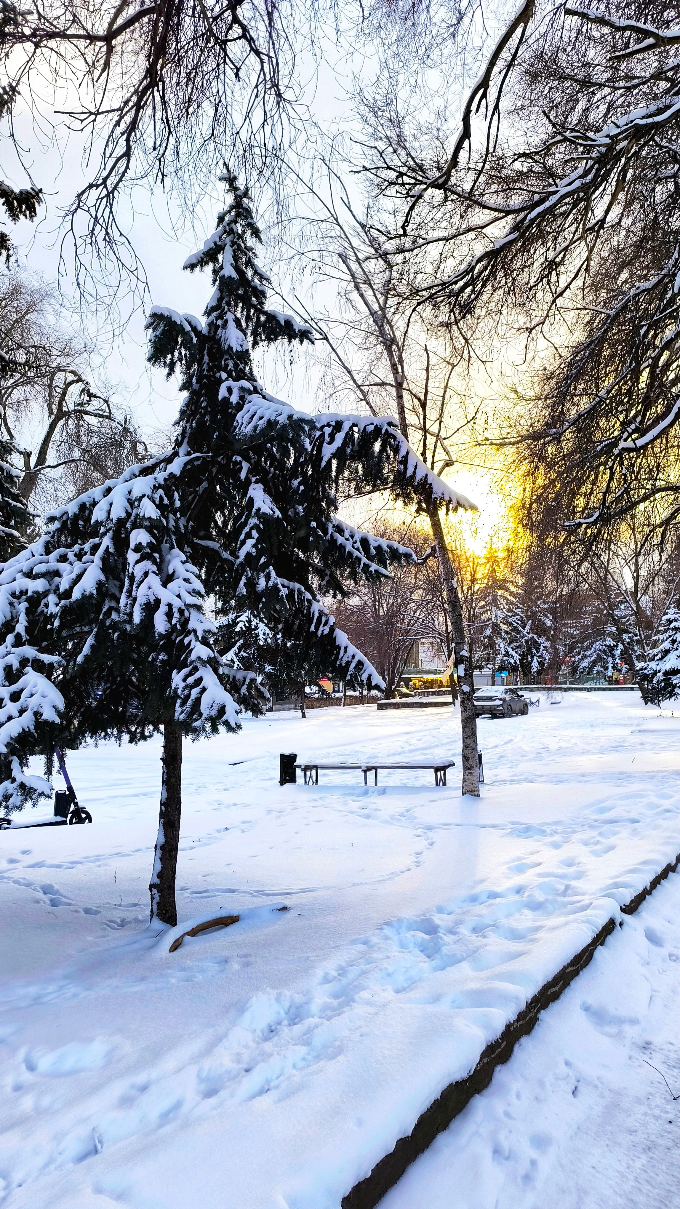 закат снежные деревья в пятигорске