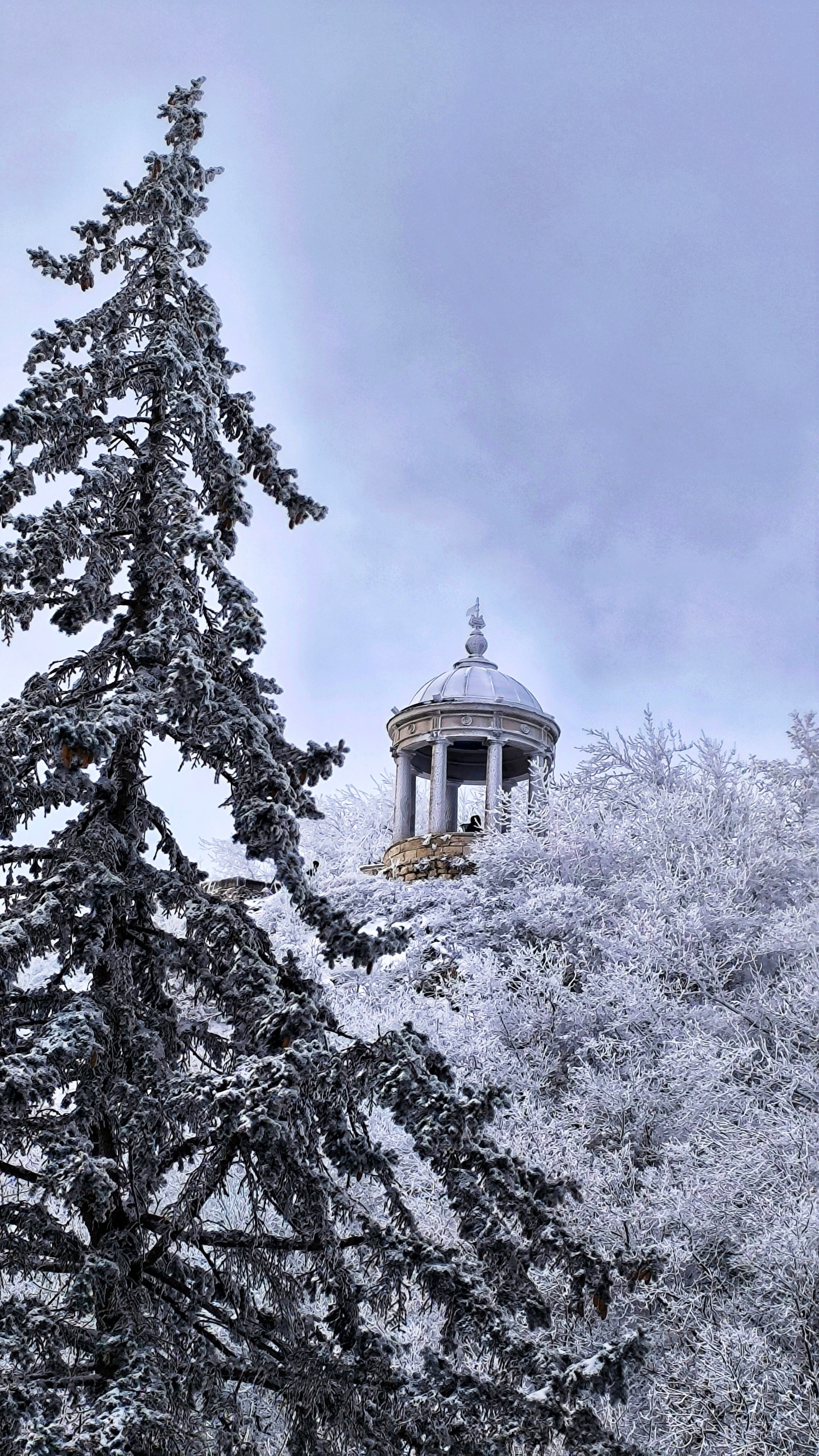 вид на эолову арфу в пятигорске зимой