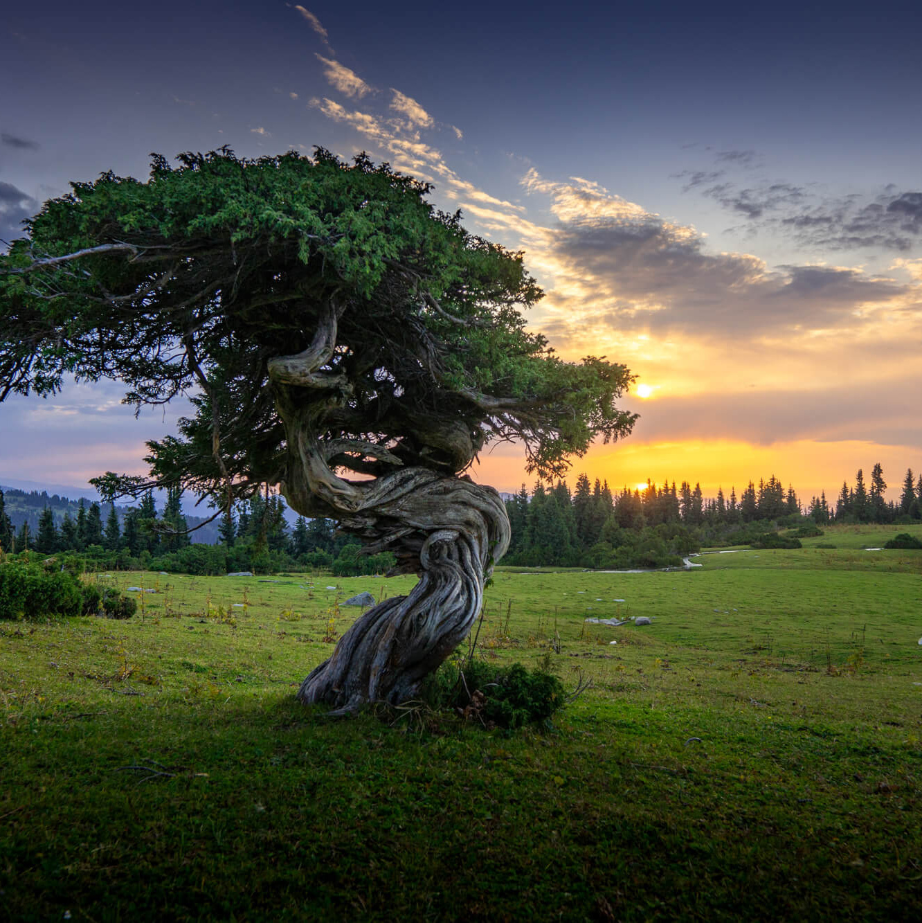 Фотоэкспедиция в Киргизию 3 сентября 2022. Фотограф Константин Шамин