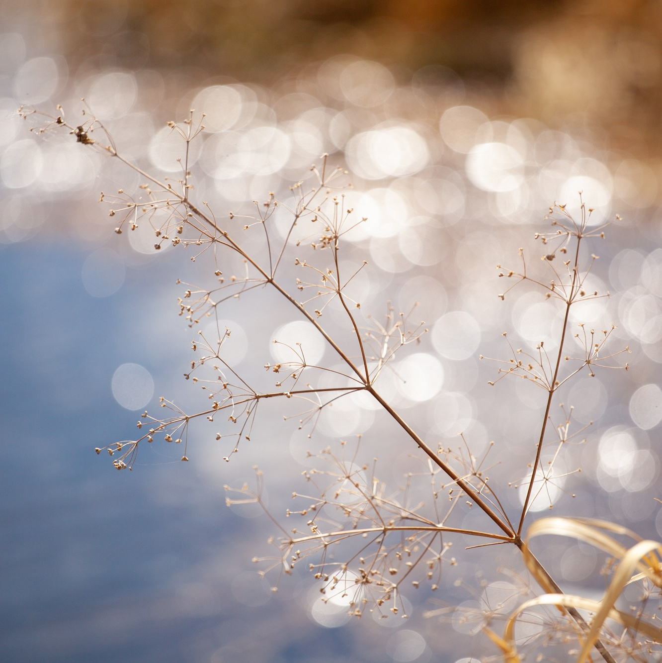 Контакты фотографа Сергея Бо. Фотограф в Крыму и Краснодарском крае: репортажная, интерьерная и промышленная фотосъёмка