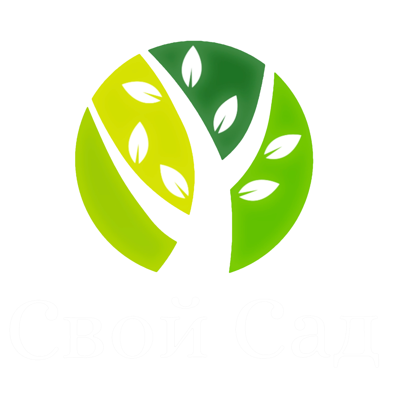 Контакты. Видеосъёмка Красноярск