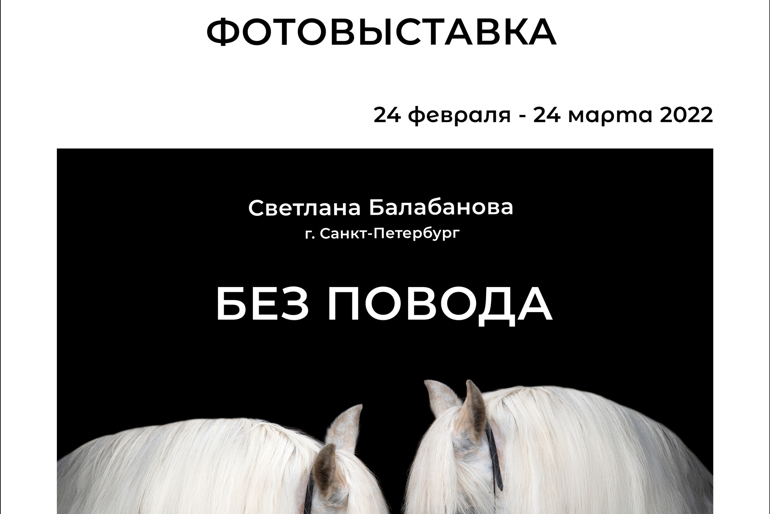 фотограф, фотовыставка, фотограф в СПб, питер фотограф, конный фотограф, съемка лошадей, конная фотография, профессиональный фотограф, фото лошадей, портреты лошадей, фото с лошадьми, заказать съемку лошади, авторские фотографии, публикации в изданиях, росфото, National Geographic, фотограф питер, конный фотограф спб, фотограф санкт-петербург